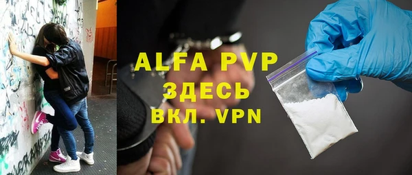 PSILOCYBIN Бородино