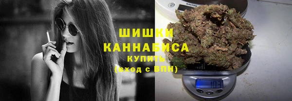 PSILOCYBIN Бородино