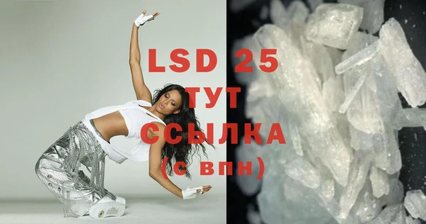 PSILOCYBIN Бородино