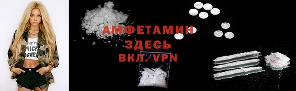 PSILOCYBIN Бородино