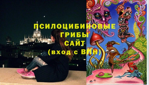 ALPHA PVP Бугульма