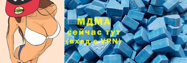PSILOCYBIN Бородино
