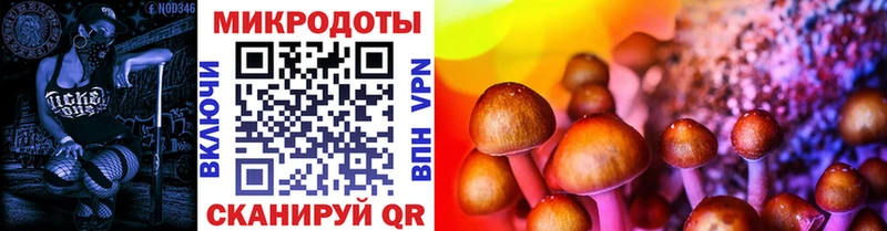Галлюциногенные грибы Psilocybe  Тюмень 